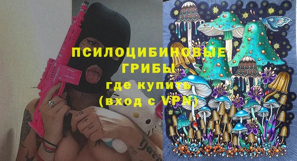 дмт Орск