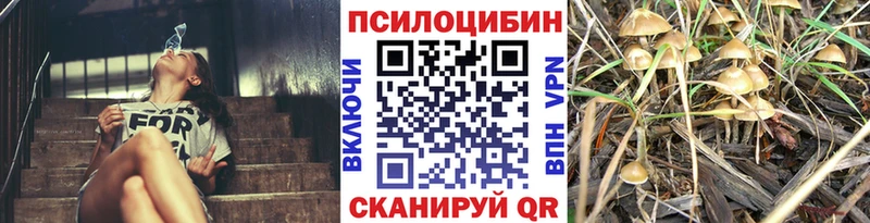 где продают наркотики MEGA tor Псилоцибиновые грибы мицелий Ковылкино